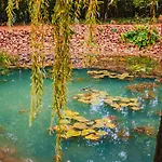 Bányahegyi Erdei Nyugalom és Wellness Erdész&vadászház