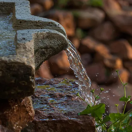 Banyahegyi Erdei Nyugalom Es Wellness Erdesz & Vadaszhaz Tardos
