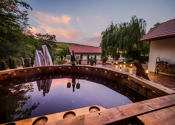 Banyahegyi Erdei Nyugalom Es Wellness Erdesz & Vadaszhaz Bed & Breakfast