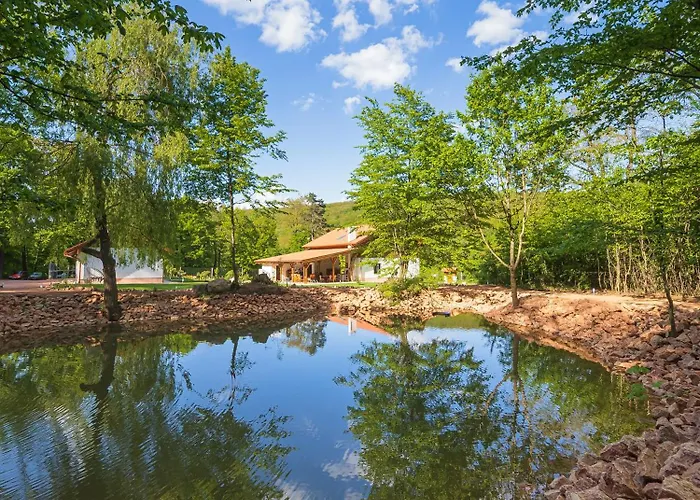 Bed & Breakfast Banyahegyi Erdei Nyugalom Es Wellness Erdesz & Vadaszhaz