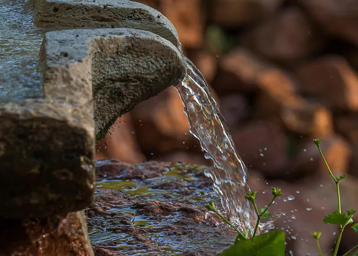 Banyahegyi Erdei Nyugalom Es Wellness Erdesz & Vadaszhaz Tardos