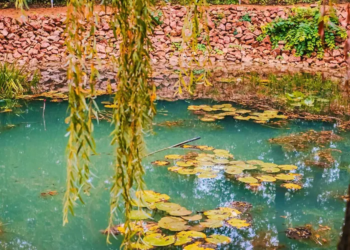 Banyahegyi Erdei Nyugalom Es Wellness Erdesz & Vadaszhaz